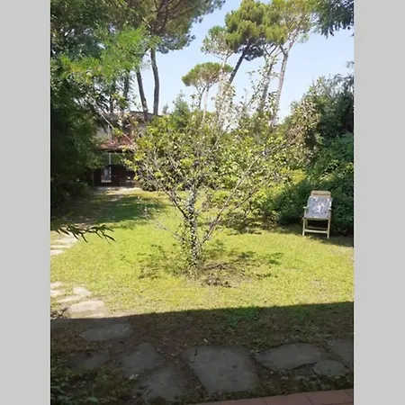 Casa Charming Immersa Nel Verde Forte dei Marmi Exterior photo